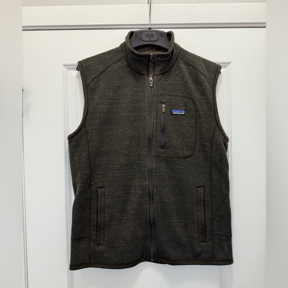 Patagonia Men's Brown Vest